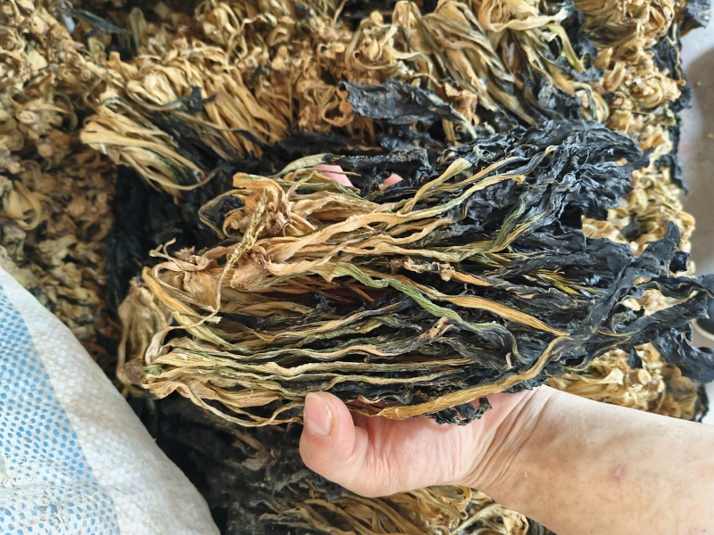 黑叶白菜干