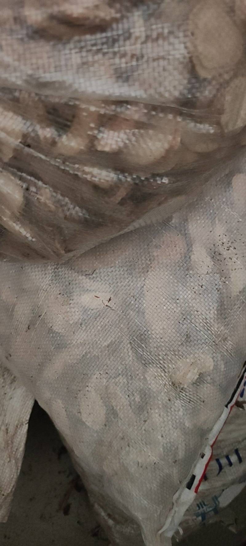 白芍无硫白芍片各种规格产地直发
