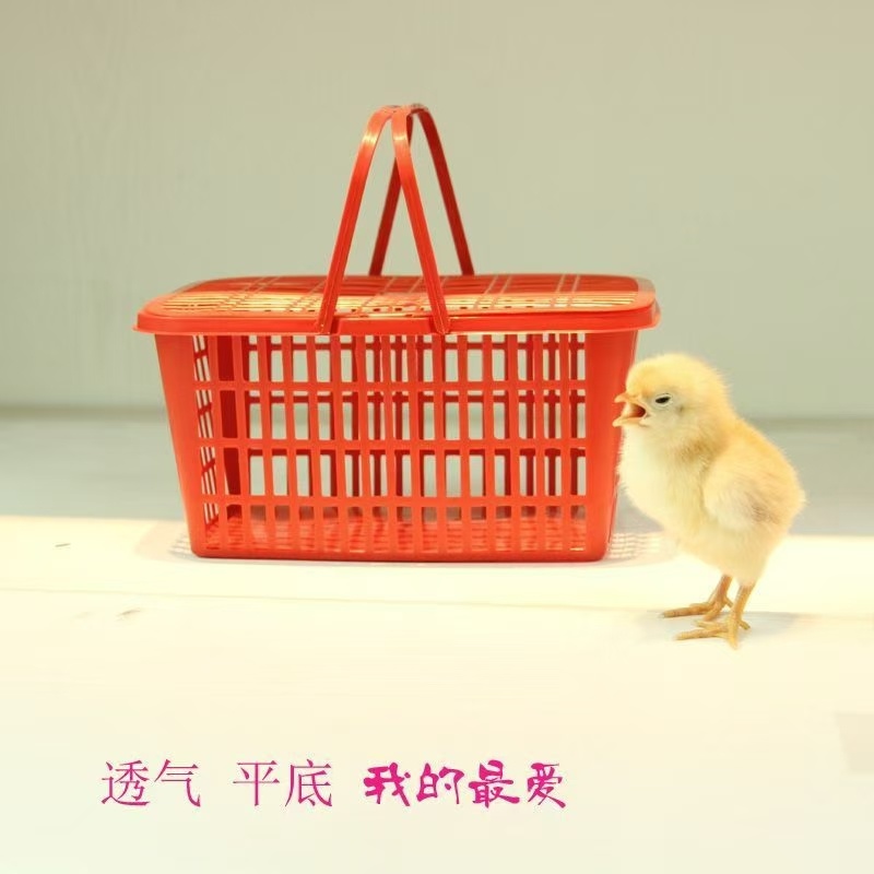 水果筐草莓筐，樱桃筐，提篮