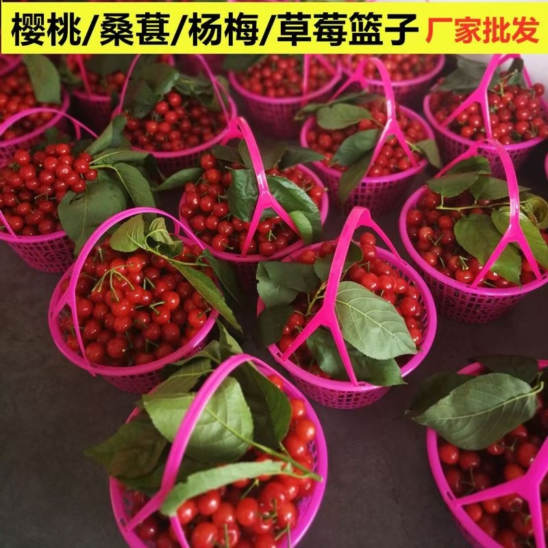 水果筐草莓筐，樱桃筐，提篮