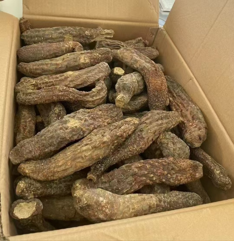【热卖推荐】新疆和田肉苁蓉一手货源产地直发
