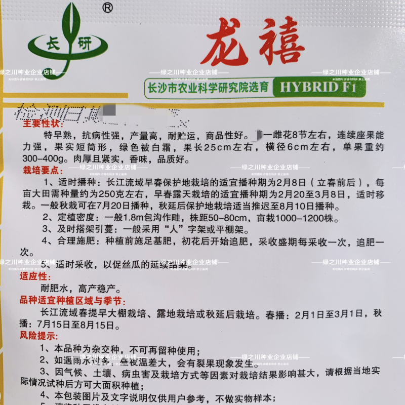龙禧丝瓜种子早优s14丝瓜种子早熟丝瓜种籽短棒肉丝瓜种子