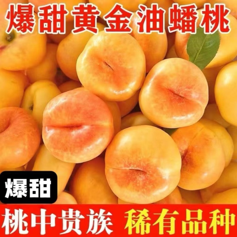 新疆黄蟠桃产地现货，全国可发，质量保证坏果包赔欢迎来电