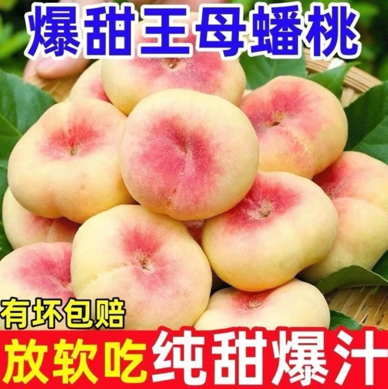 新疆红蟠桃产地现货速发坏果包赔欢迎来电咨询下单