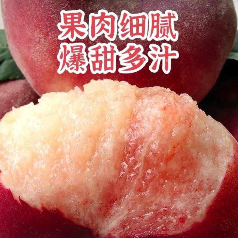 新疆瑞蟠桃万亩果园现摘现发坏果包赔欢迎来电质询