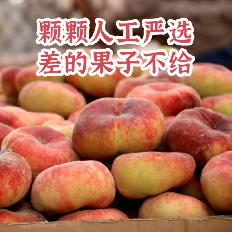 新疆瑞蟠桃万亩果园现摘现发坏果包赔欢迎来电质询