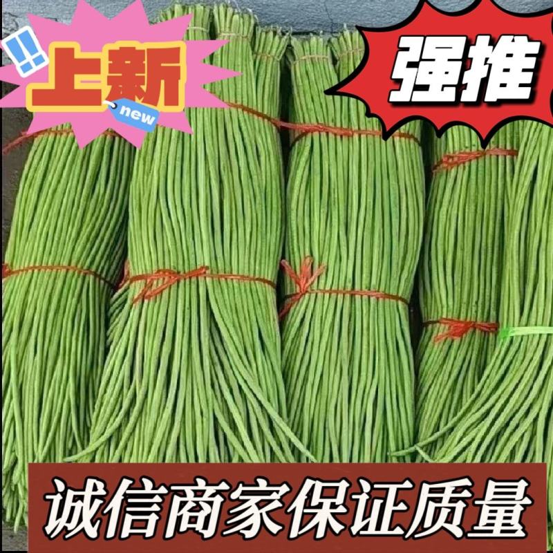 大量精选豆角产地直供！现摘现发保证质量不满意包退！