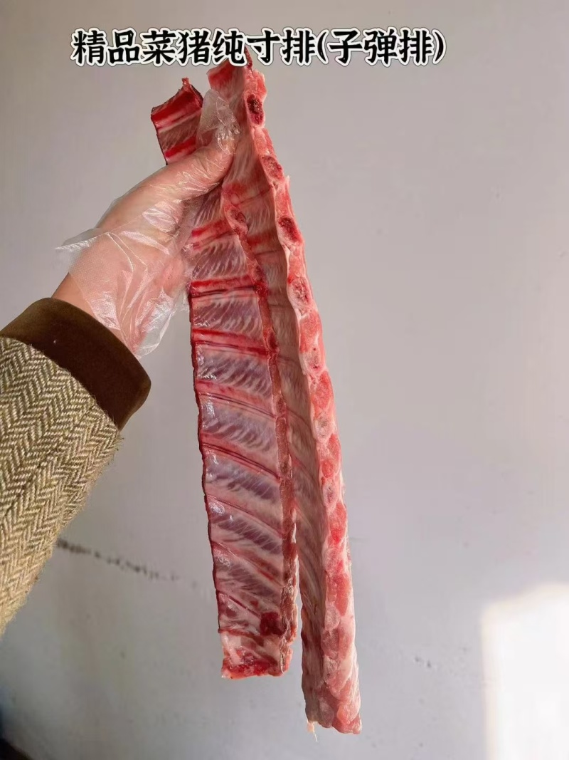 精品猪寸排大量现货量大从优