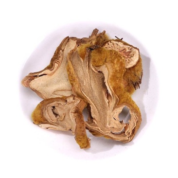 狗脊/滋补品/黄毛狗脊/人工种植/仿野生环境