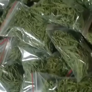 安吉白茶50克独立小包装茶叶新鲜干燥