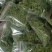 安吉白茶50克独立小包装茶叶新鲜干燥