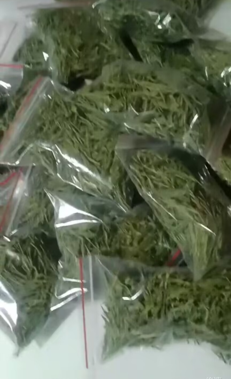 安吉白茶50克独立小包装茶叶新鲜干燥