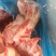 多肉猪棒骨，酱骨自助