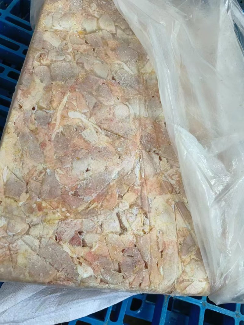 鸡腺胃生腺胃嗉皮生腺胃食管