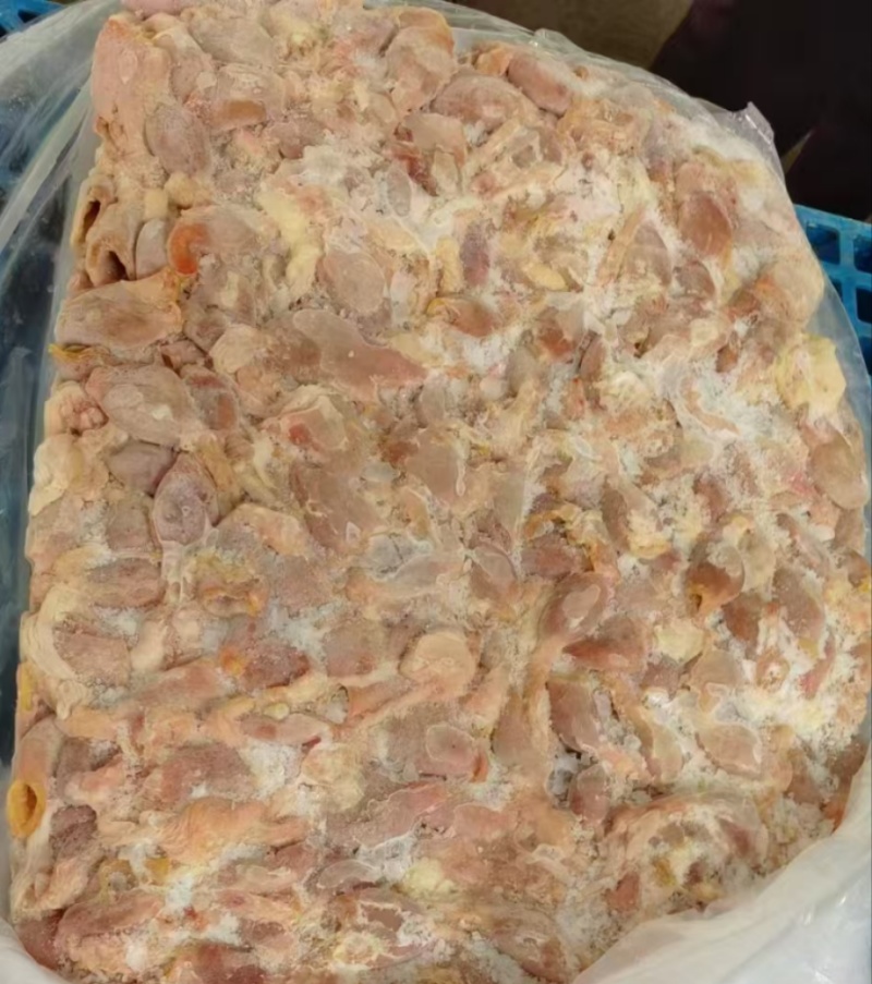 鸡腺胃生腺胃嗉皮生腺胃食管