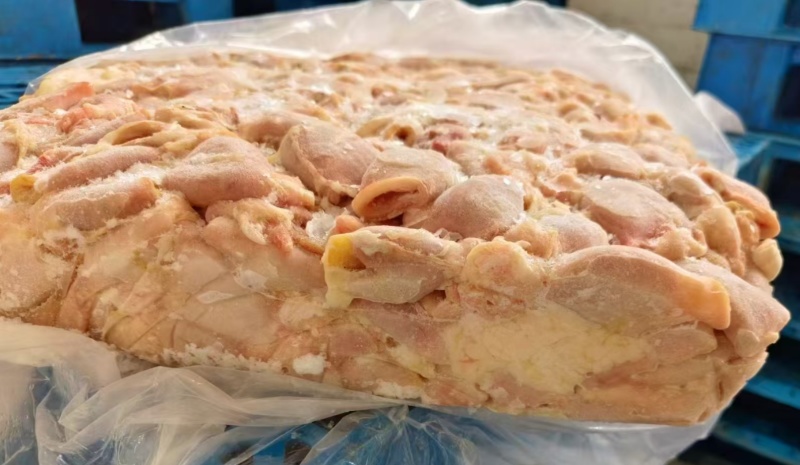 鸡腺胃生腺胃嗉皮生腺胃食管