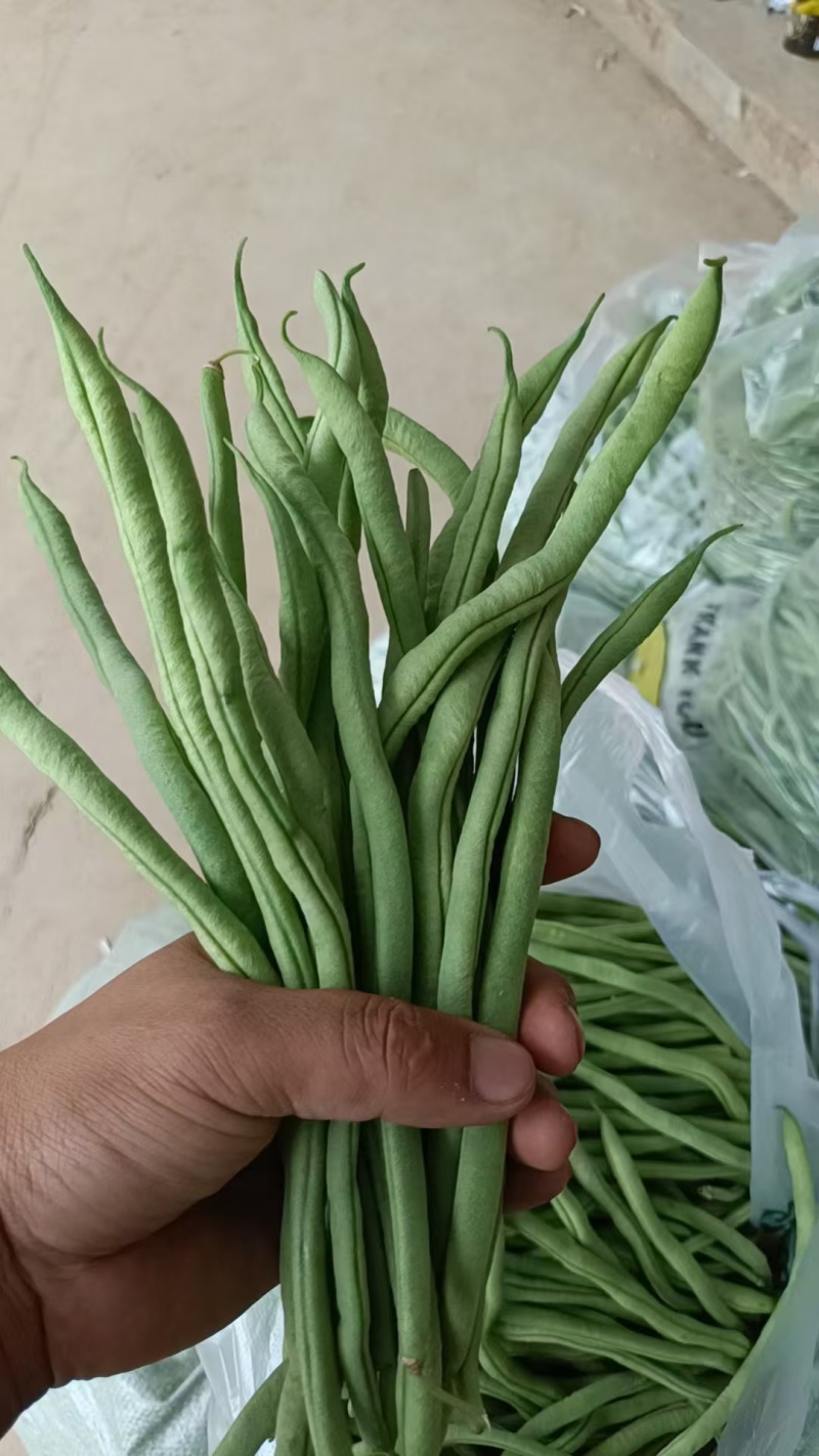 豆角需要的老板联系了价格不贵