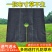 防草布切片果园果树除草布打孔单片遮草盖草农用园艺地布