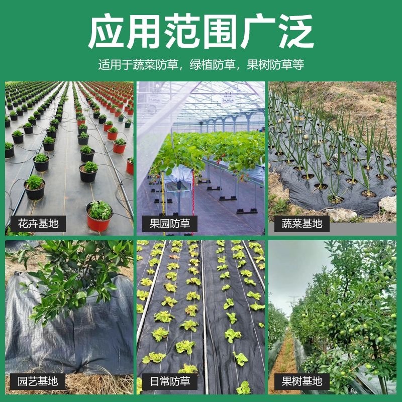防草布切片果园果树除草布打孔单片遮草盖草农用园艺地布
