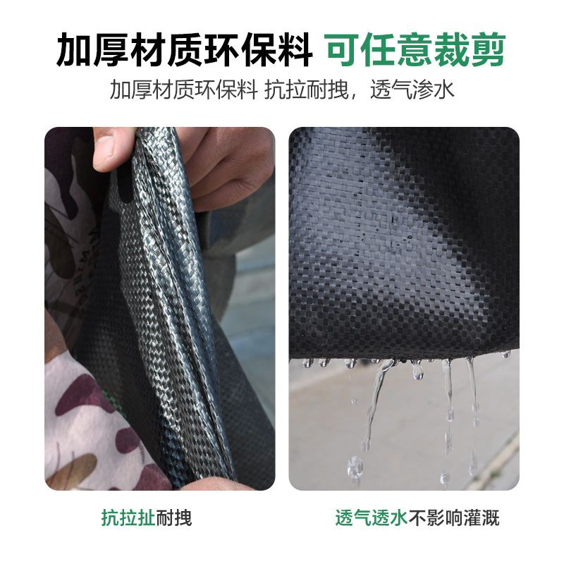 防草布切片果园果树除草布打孔单片遮草盖草农用园艺地布