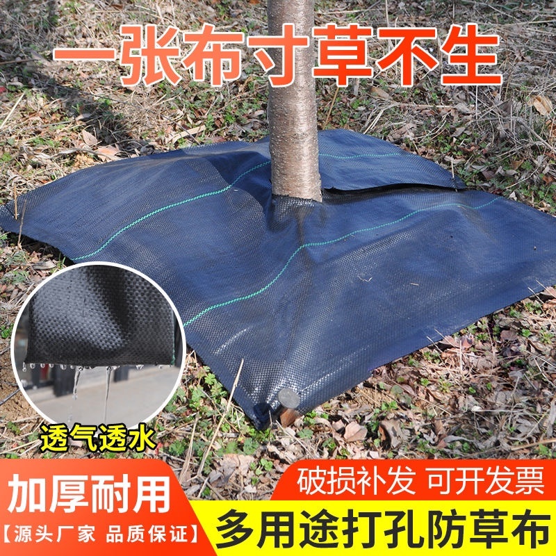 防草布切片果园果树除草布打孔单片遮草盖草农用园艺地布