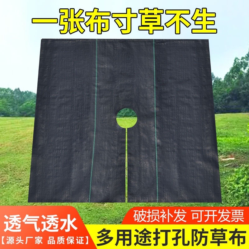 防草布切片果园果树除草布打孔单片遮草盖草农用园艺地布