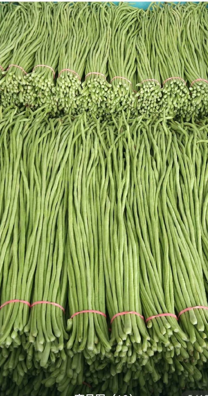 大量精选豆角王中王产地直供！现摘现发保证质量不满意包退！