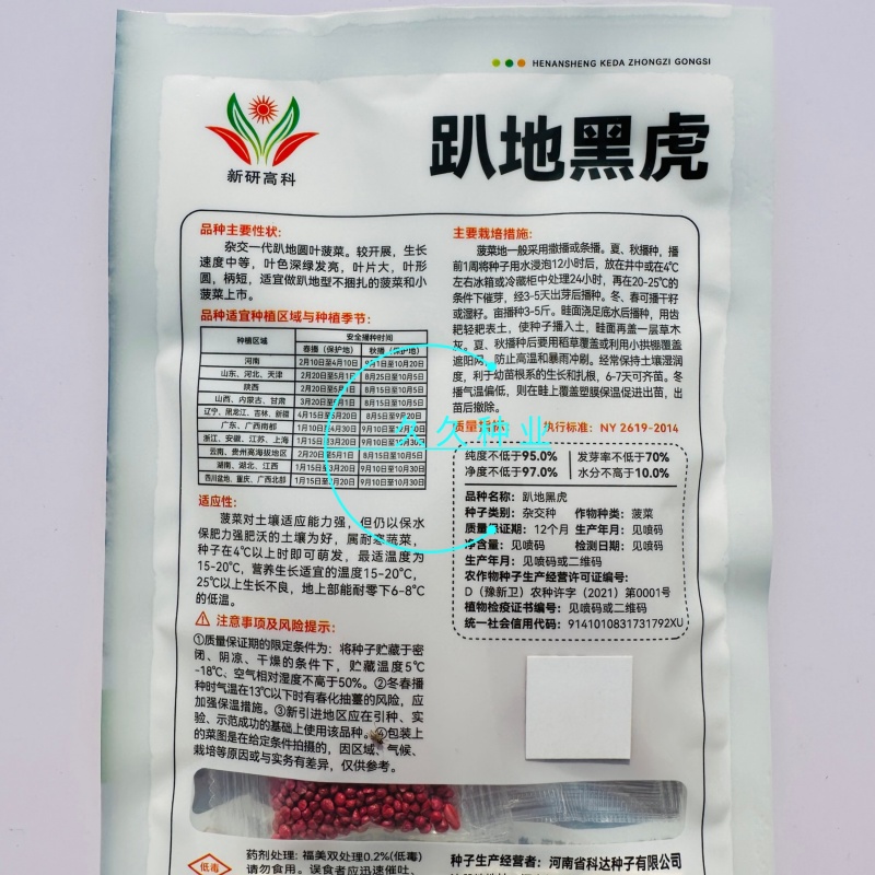 趴地黑虎趴地菠菜种子深绿油亮高产耐寒抗病商品性佳