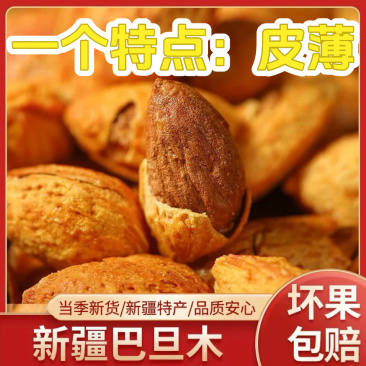 新货奶香味原味薄皮巴旦木扁杏仁坚果炒货小零食
