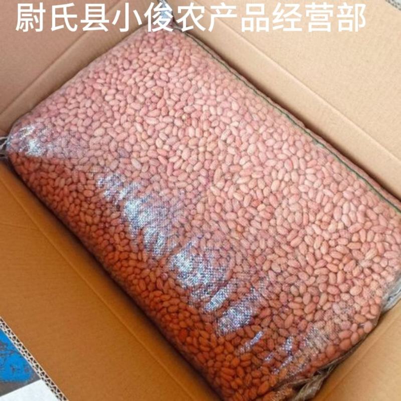 河南开封花生米种花育25花育9616发芽精品手剥米芽菜米
