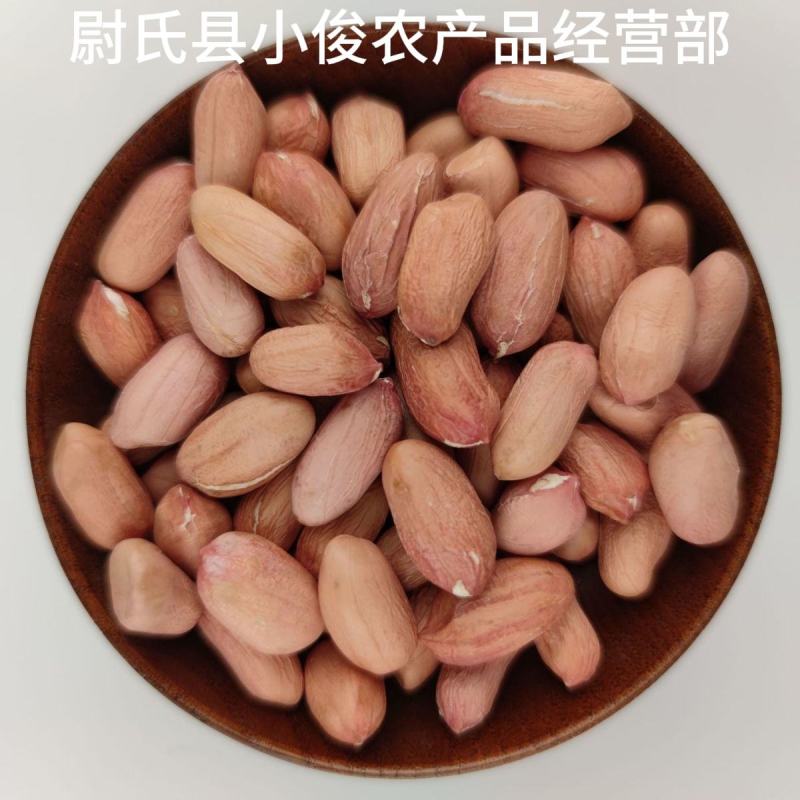 河南开封花生米种花育25花育9616发芽精品手剥米芽菜米