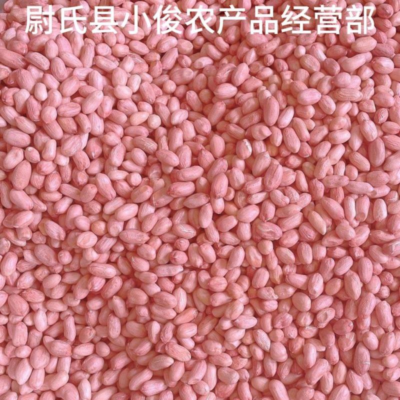 河南开封花生米种花育25花育9616发芽精品手剥米芽菜米