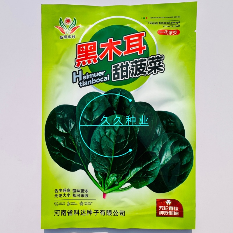 黑木耳甜菠菜种子菠菜种籽生长速度快耐寒高产越冬蔬菜种子