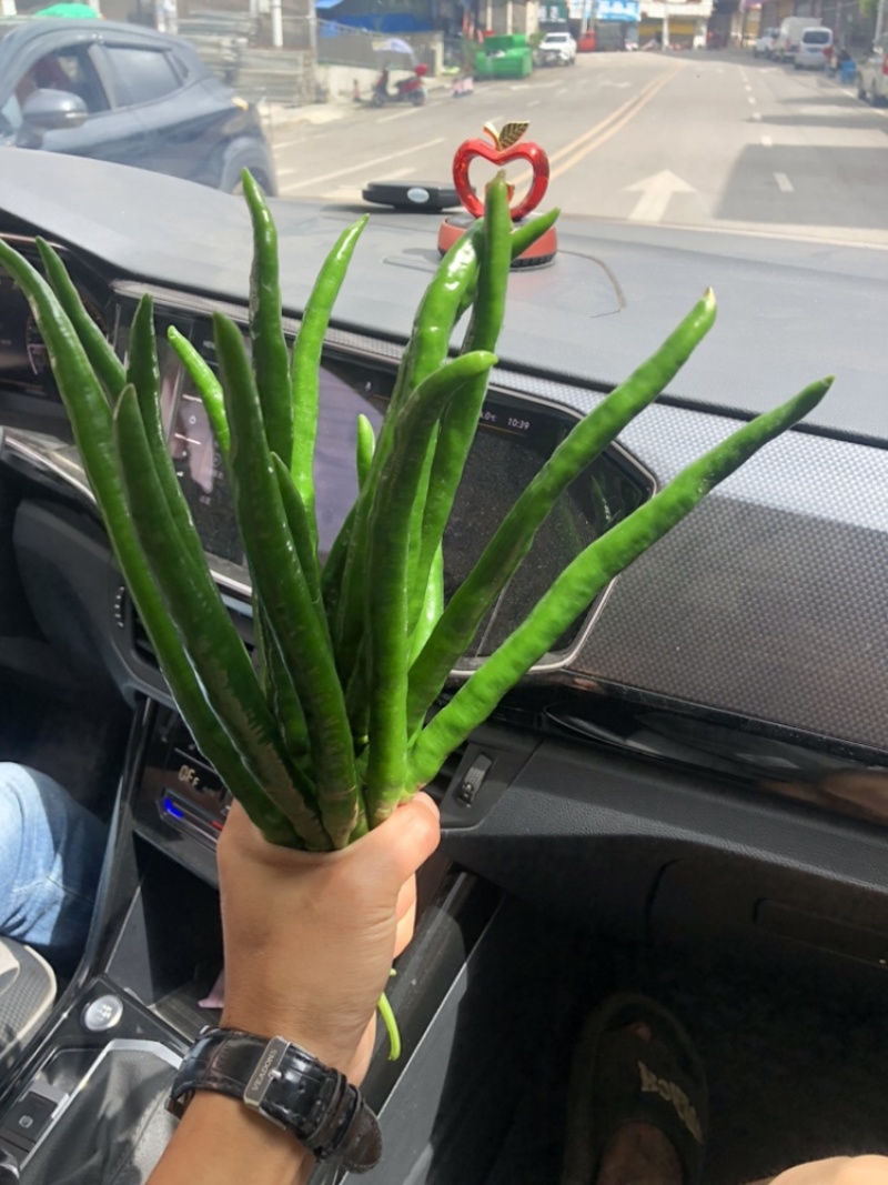 3号线椒