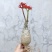 热销四季开花佛肚海棠块根植物一物一拍观花佛肚树多肉植物盆