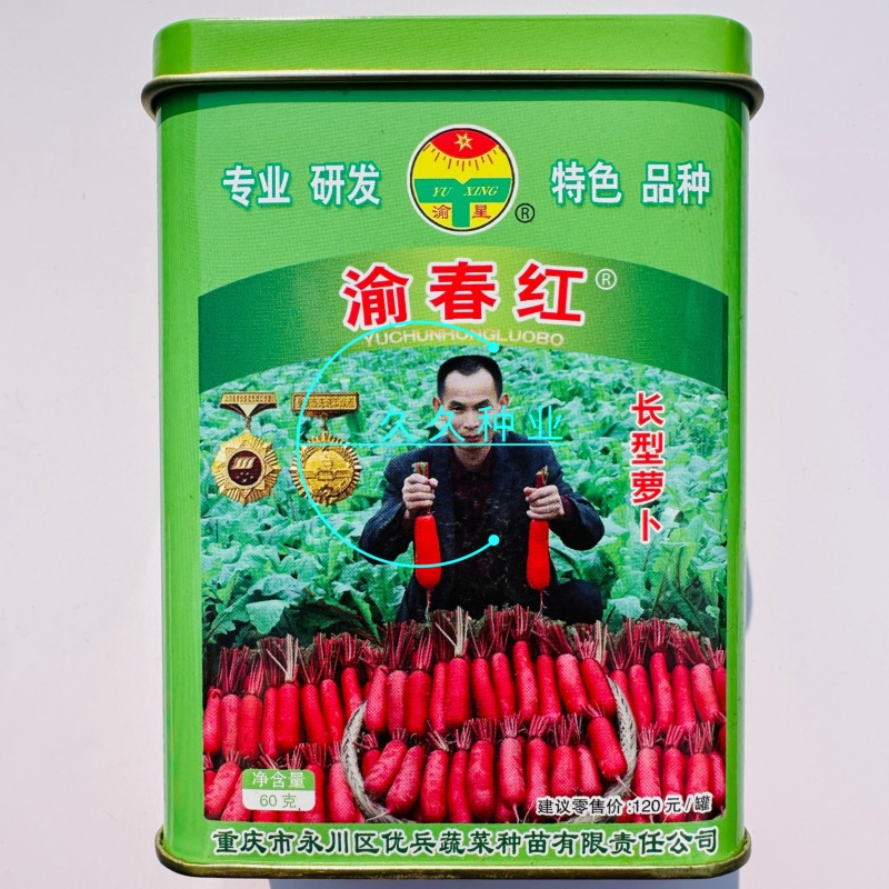 渝春红长型萝卜种子深红皮白肉萝卜种子味甜水多秋季红皮萝卜