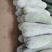 白冬瓜