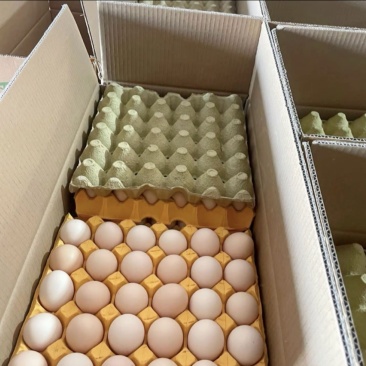 新鲜土鸡蛋需要的可以联系，现在还有现货