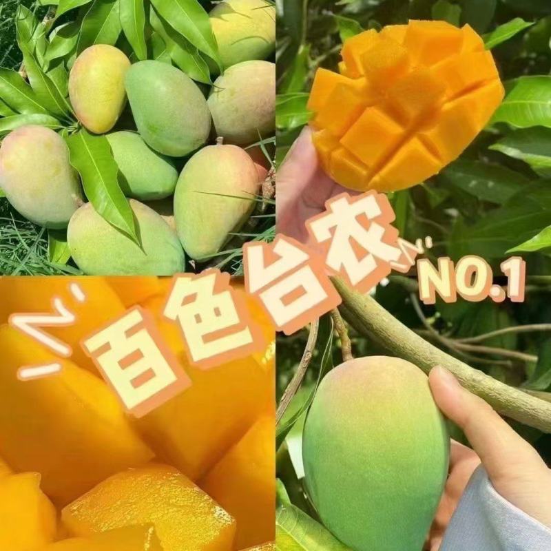 芒果产地直发