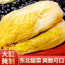 东北酸菜厂家直销、菜大、水少、味道好、传统发酵