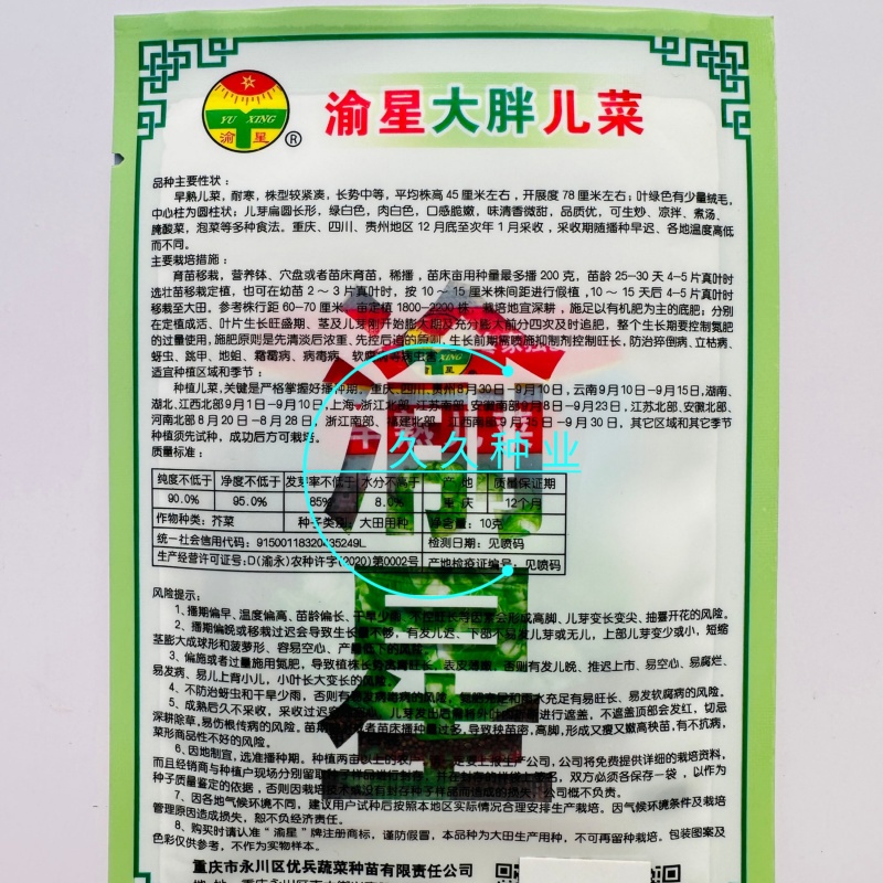 渝早大胖儿菜种子早熟抱子芥娃娃菜胖儿子菜冬秋季庭院盆栽