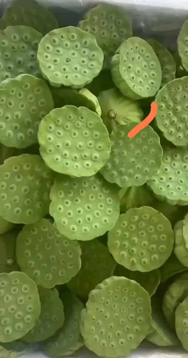 新鲜水果莲蓬