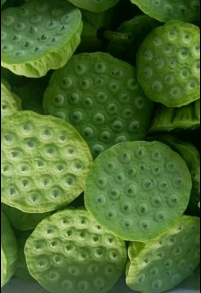 新鲜水果莲蓬