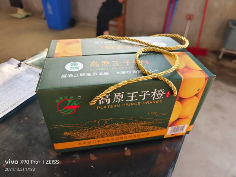 云南玉溪新平县戛洒橙子