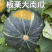 板栗南瓜，粉糯绵密好口感