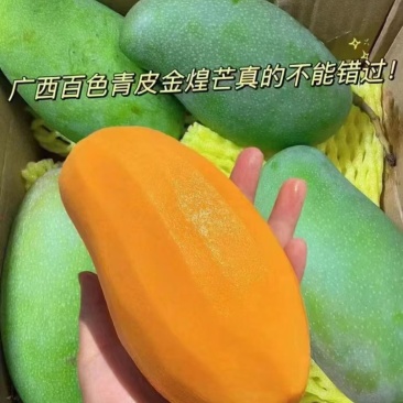 百色金煌芒金煌芒也叫冰糖芒。别看它青，它是真的甜