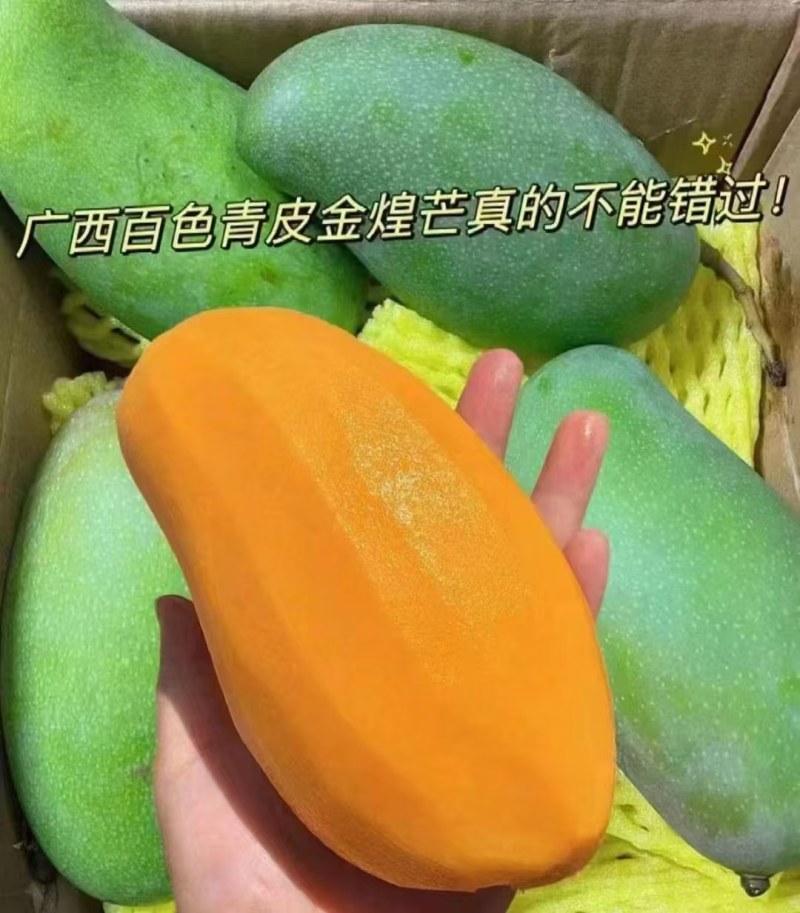 百色金煌芒金煌芒也叫冰糖芒。别看它青，它是真的甜
