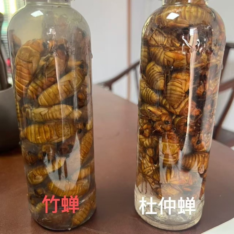 货物齐全，价格美丽欢迎各位老板下单，一站式服务