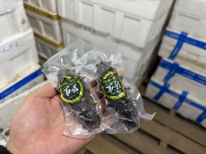 大连海参批发各种规格