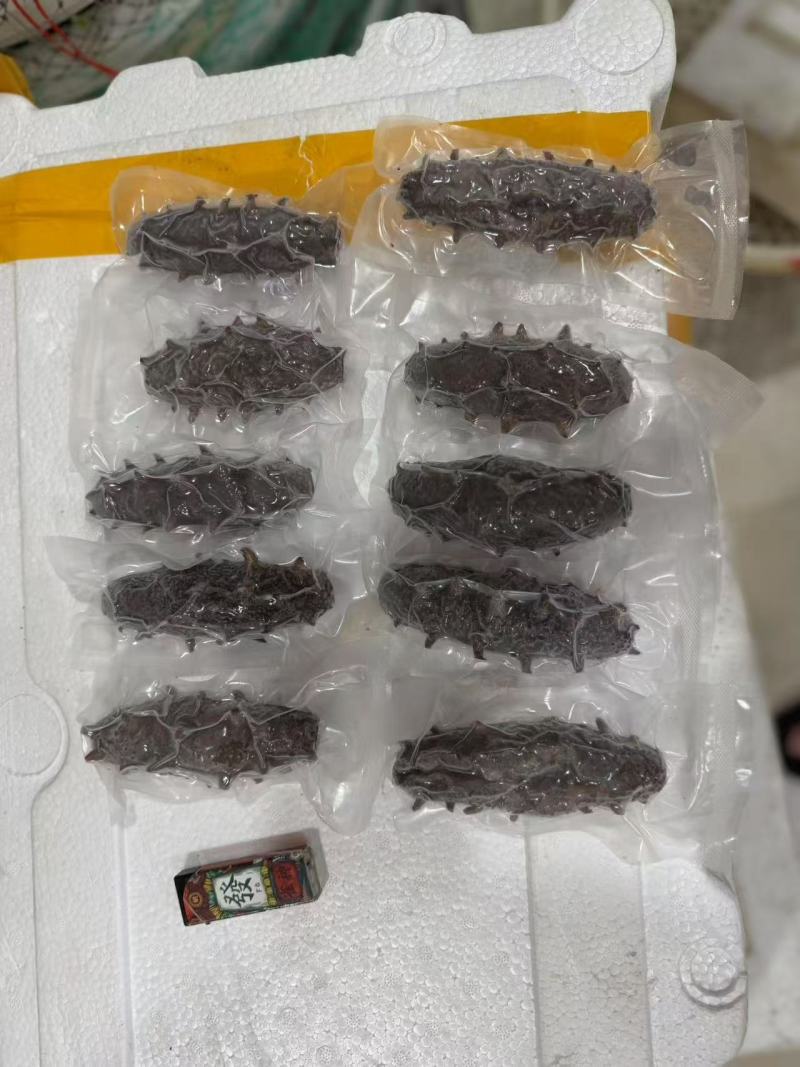 大连海参批发各种规格
